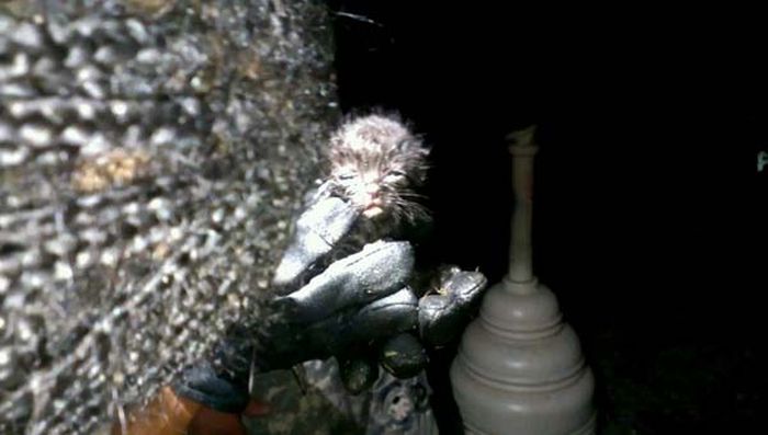 アメリカ陸軍の熱い救出任務が話題になる写真