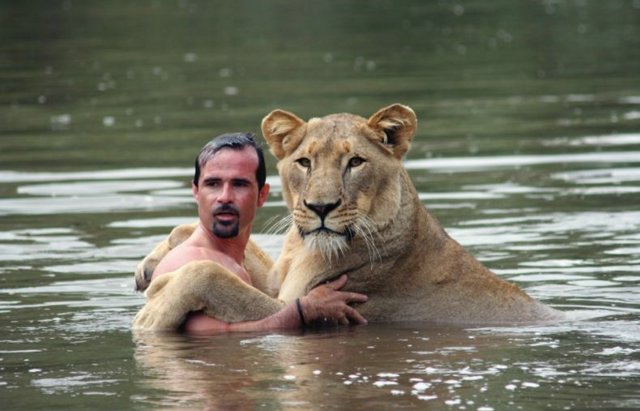 見ているだけで笑える動物のオモシロ画像