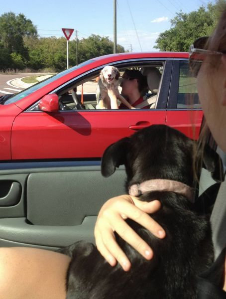 気になってしかたがない動物たちの写真