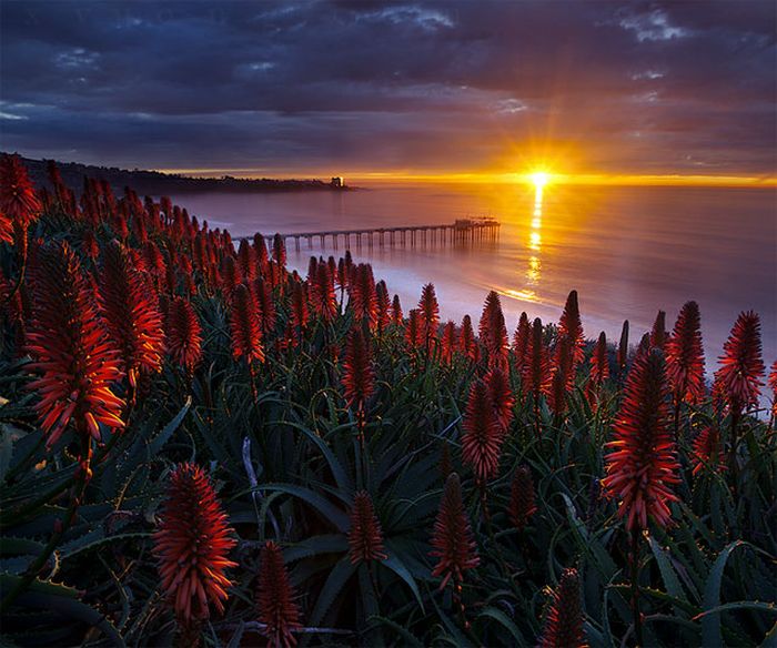 美しい太陽の写真