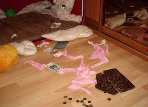 シベンリアン・ハスキー犬はイタズラがお好き♪の写真