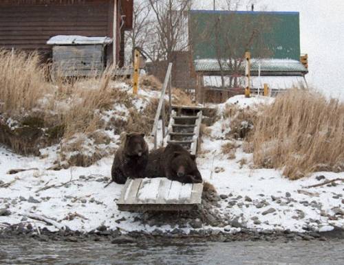 ロシアへようこそ！と思わせてくれる写真