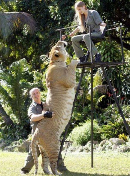 マジで驚く巨大生物の画像