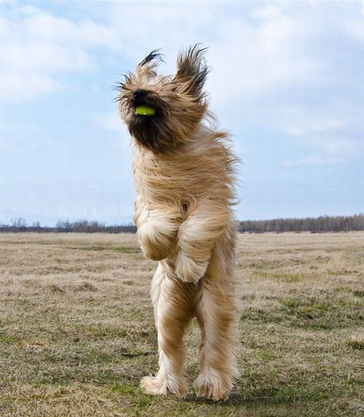 なんで動物ってこんなに可愛いんだろと思える写真
