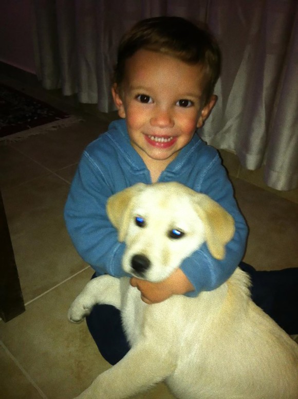 動物と人間の子供が仲良くしている可愛い写真