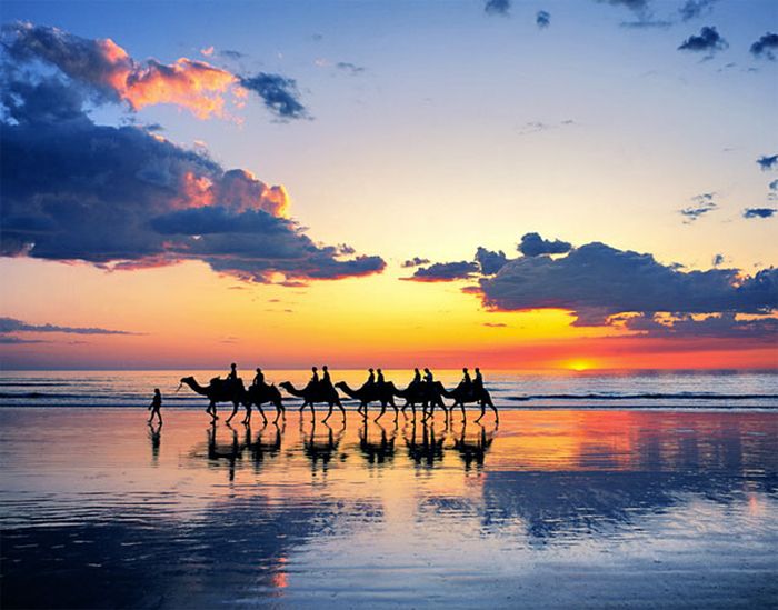 美しい太陽の写真