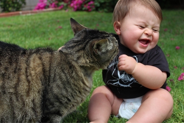 抱きしめたくなるほど可愛い動物の画像