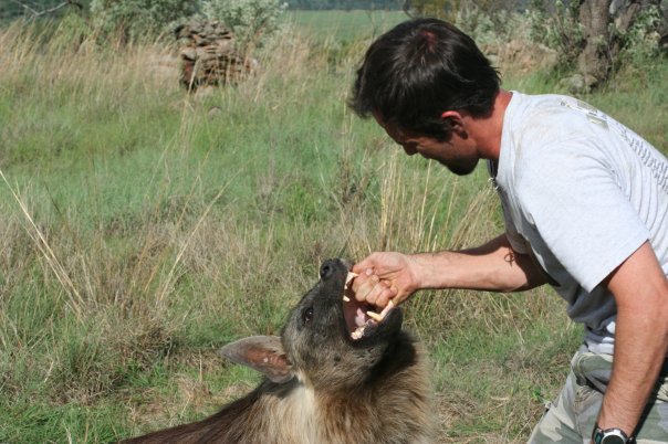 動物行動学者のケヴィン・リチャードソン
