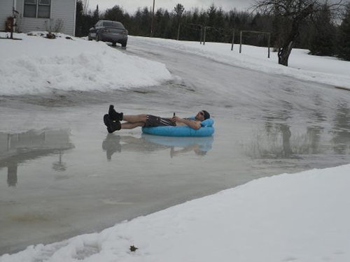 海外の遊びが凄い琴になっている写真