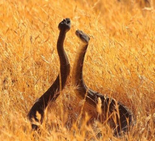 大自然が印象的な写真