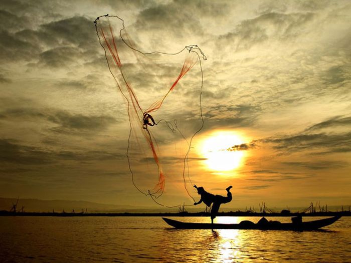 美しい太陽の写真