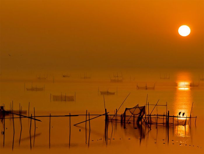 美しい太陽の写真