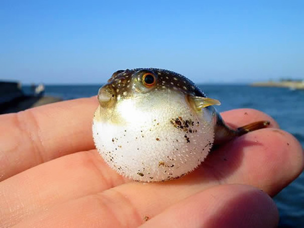 春になって動物の可愛い赤ちゃんが喜ぶ写真