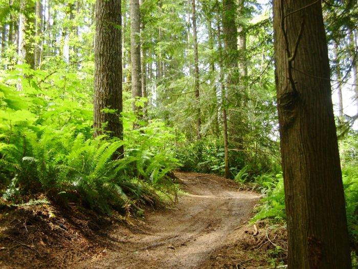 神秘を感じる美しい自然の写真