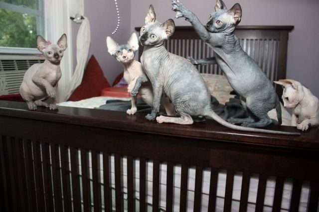 なんで動物ってこんなに可愛いんだろと思える写真