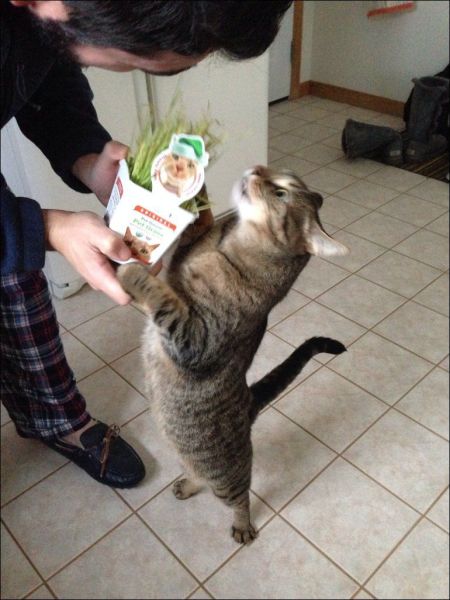 可愛い動物の画像が沢山集まったよ！