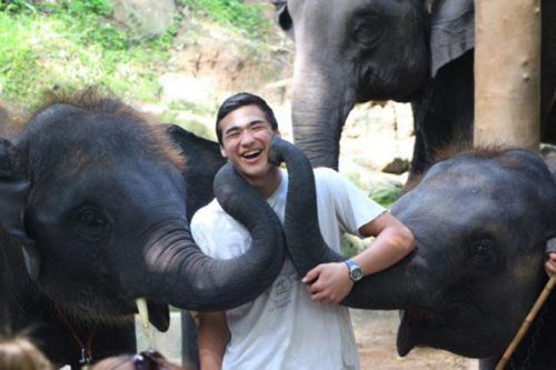 海外の遊びが凄い琴になっている写真