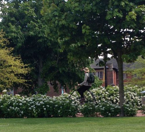 海外の遊びが凄い琴になっている写真