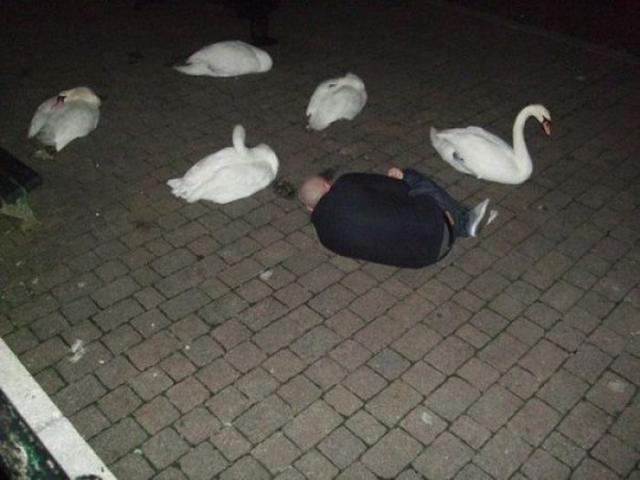 良く分からないけどやっぱり凄いロシアの写真