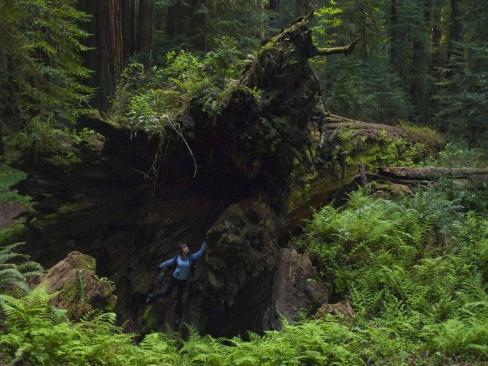 神秘を感じる美しい自然の写真