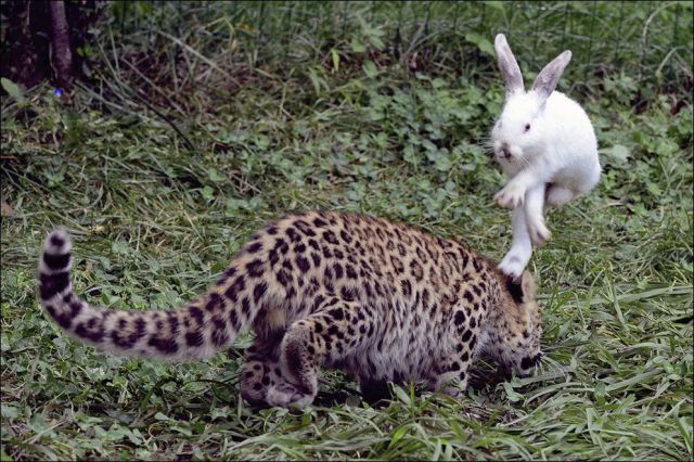 シュールすぎる面白い写真