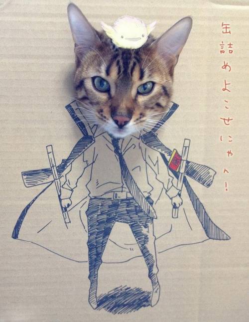 猫がダンボールから顔を出したイラスト画像