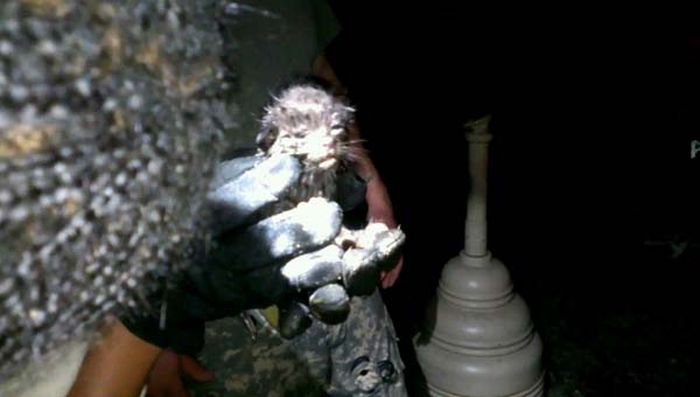 アメリカ陸軍の熱い救出任務が話題になる写真