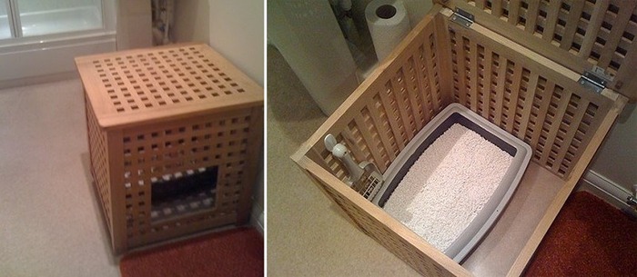 猫のために設計されたインテリアや小物が可愛い写真