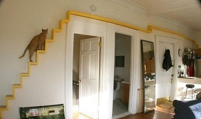 猫のために設計されたインテリアや小物が可愛い写真