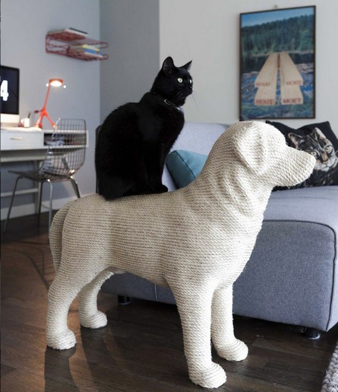 猫のために設計されたインテリアや小物が可愛い写真