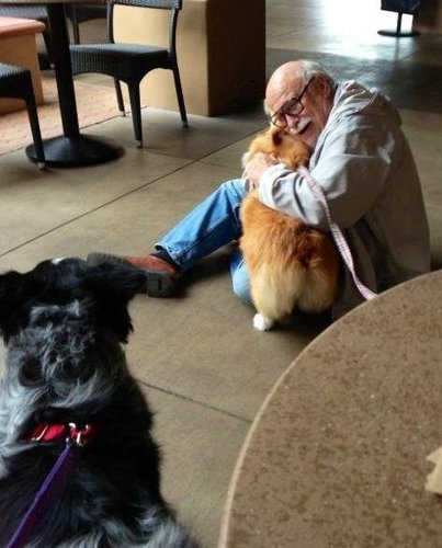 思わずキュンとなる癒しの動物たちの写真