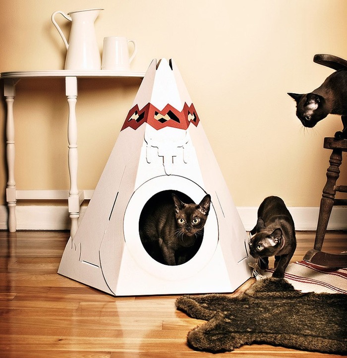 猫のために設計されたインテリアや小物が可愛い写真