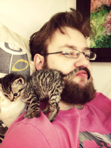 「猫がいて幸せを感じる瞬間」の写真