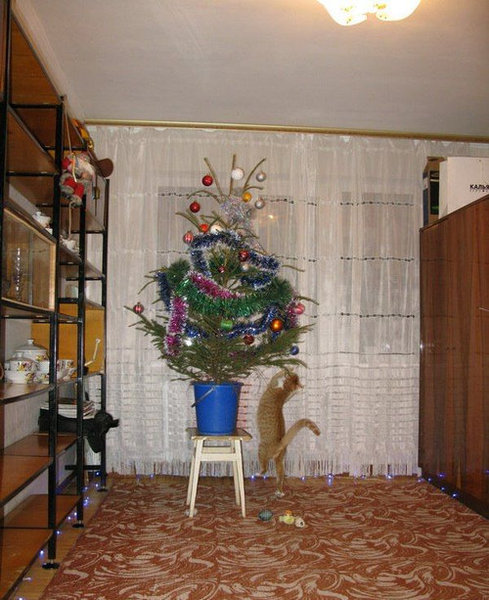 ちょっと笑えるクリスマスの写真