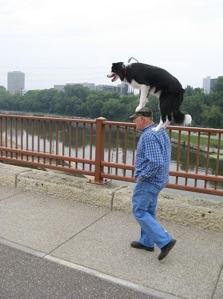 いろいろな姿を見せる動物たちの可愛い写真