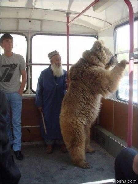 ロシアの日常風景がアホすぎる写真
