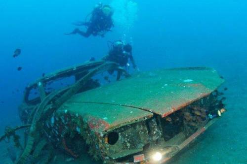 車が海に沈んでしばらくして魚の住まいになった写真
