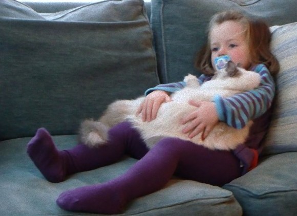 動物と人間の子供が仲良くしている可愛い写真