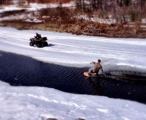 海外の遊びが凄い琴になっている写真