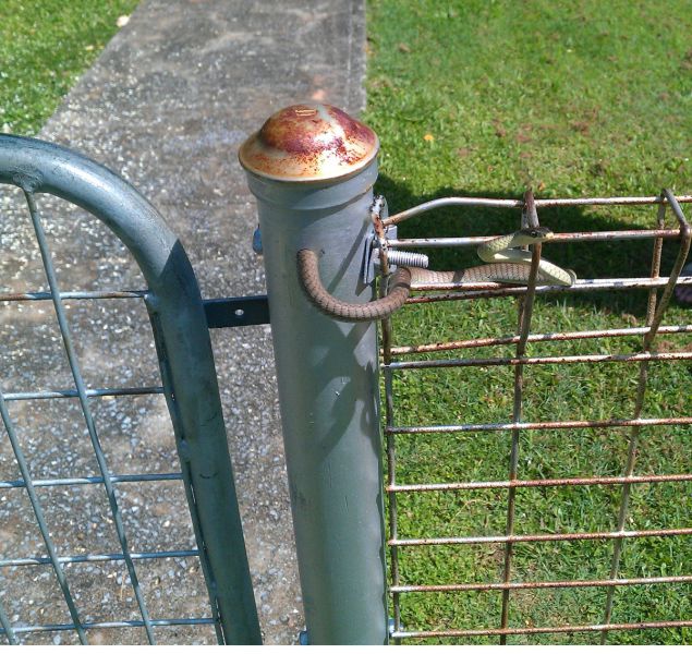 ｢通せんぼ」をしている写真