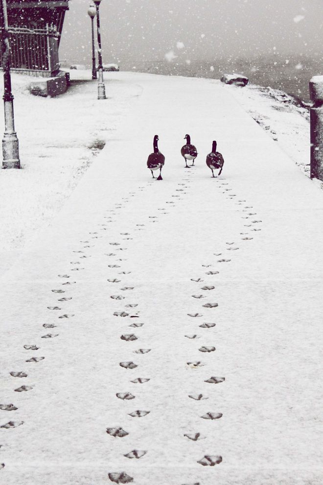 冬を感じる事ができる写真