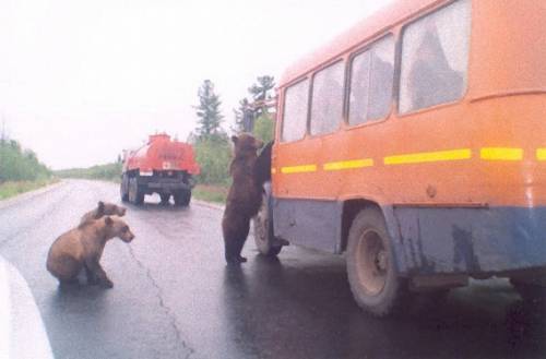 ロシアへようこそ！と思わせてくれる写真
