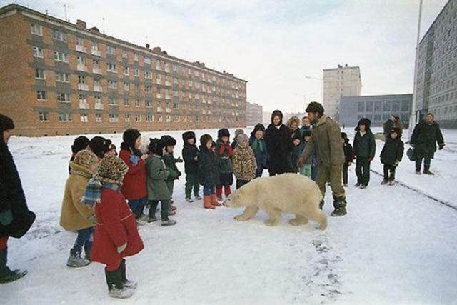 ロシアで見られる日常風景のオモシロ写真
