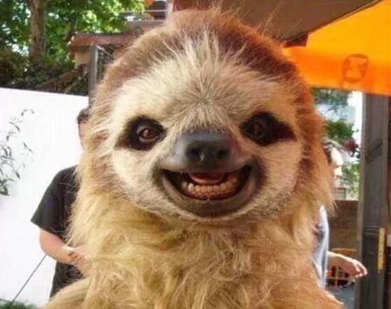 幸せそうに笑いすぎ！ニッコリ笑顔の動物たちの写真