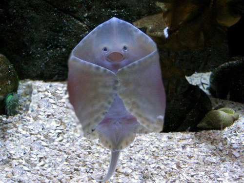 見ているだけで元気になれそうな写真