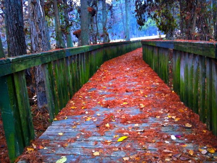 神秘を感じる美しい自然の写真