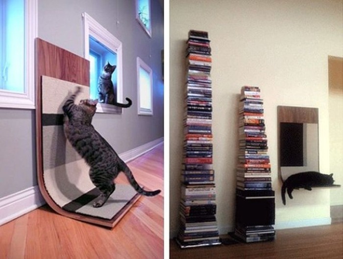 猫のために設計されたインテリアや小物が可愛い写真