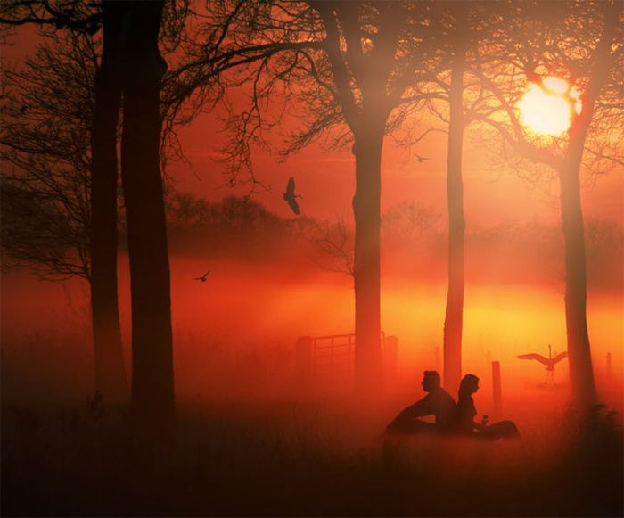 美しい太陽の写真