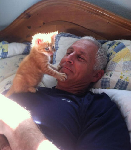 「猫がいて幸せを感じる瞬間」の写真