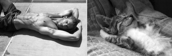 どっちが好き？同じようなポーズのイケメンと猫の比較画像